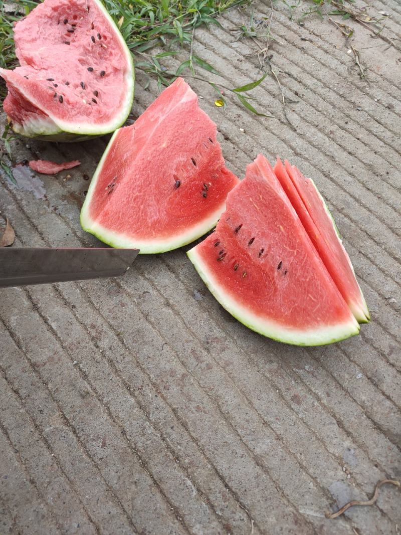 西瓜