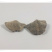 中药材精选无硫石燕石燕子燕子石大石燕500g
