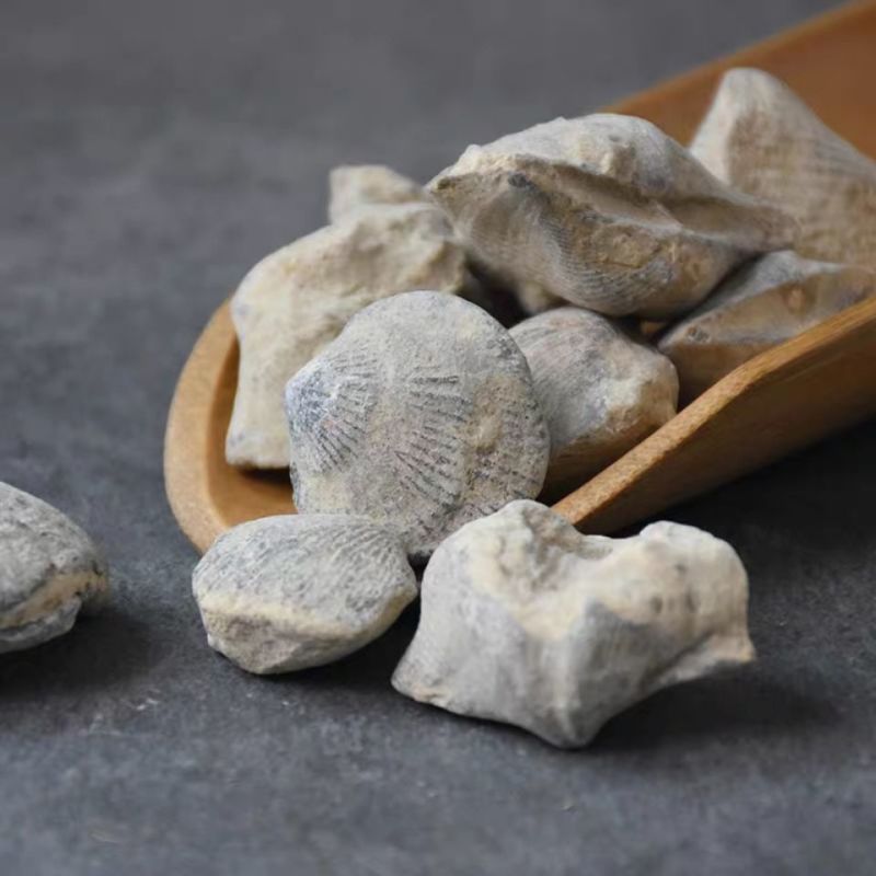中药材精选无硫石燕石燕子燕子石大石燕500g