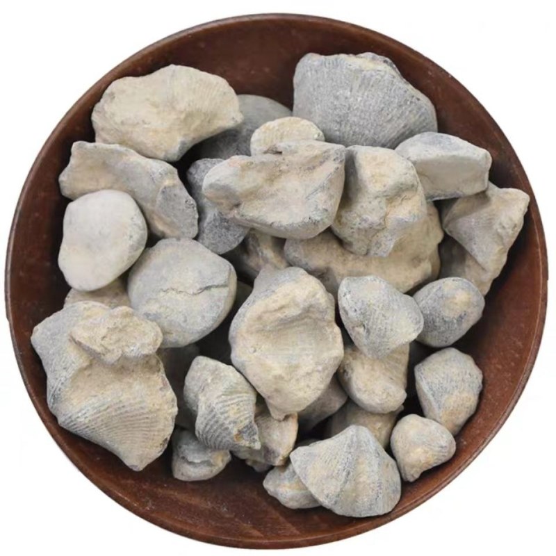 中药材精选无硫石燕石燕子燕子石大石燕500g