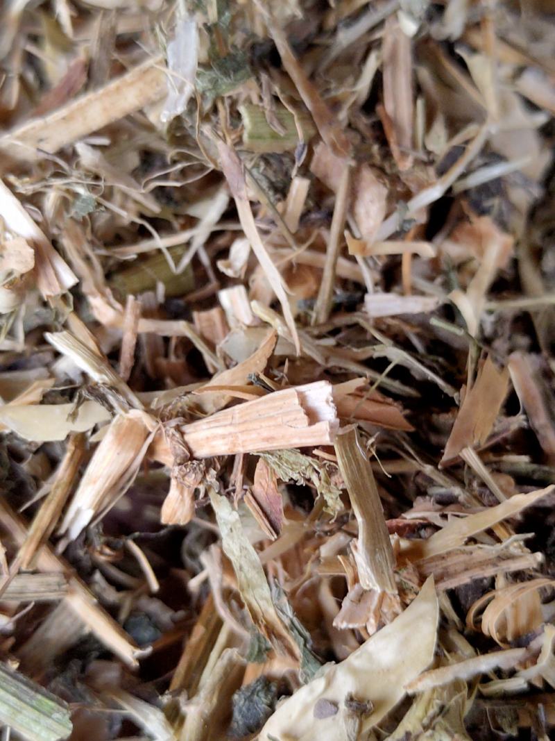 碗豆秧，牛羊好草料，无土无膜无霉变量大优惠