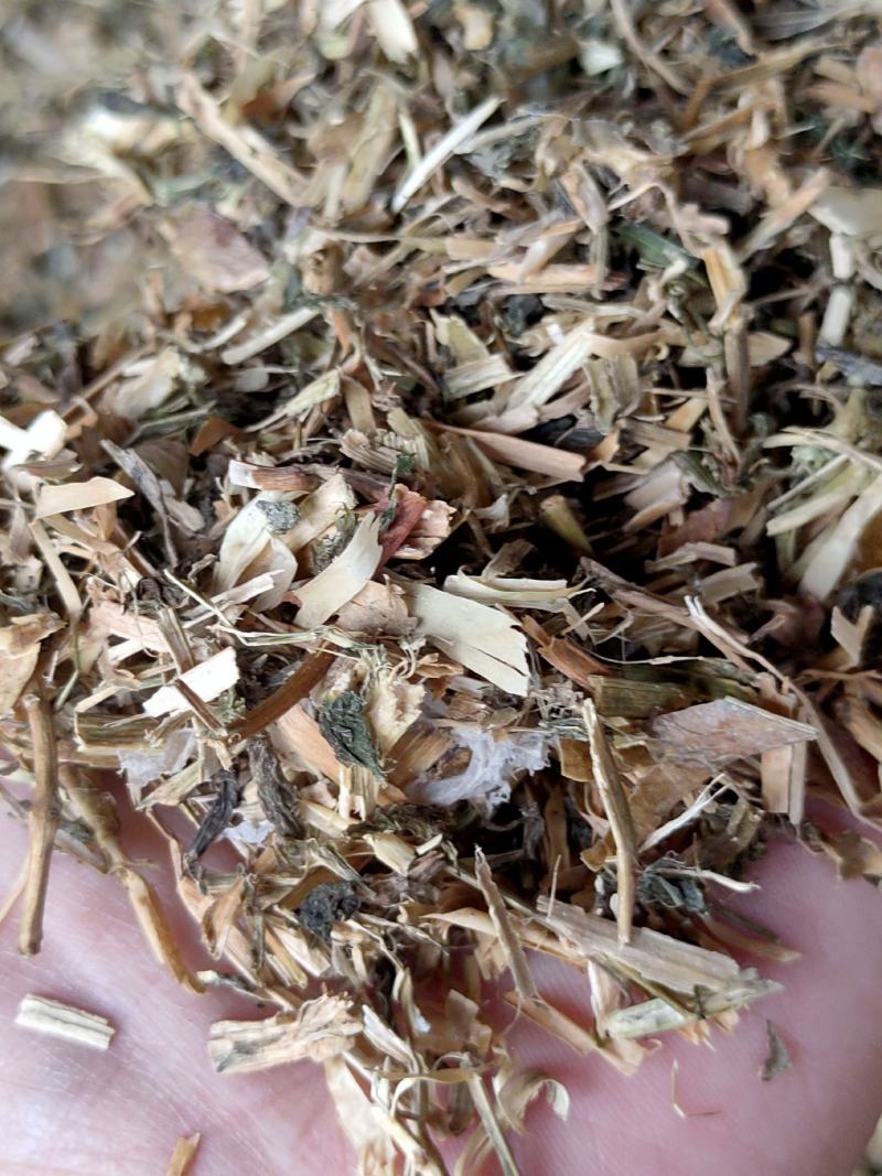 碗豆秧，牛羊好草料，无土无膜无霉变量大优惠