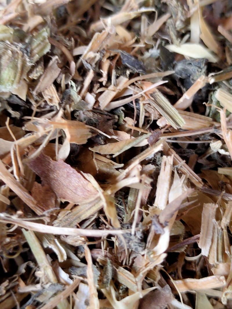 碗豆秧，牛羊好草料，无土无膜无霉变量大优惠