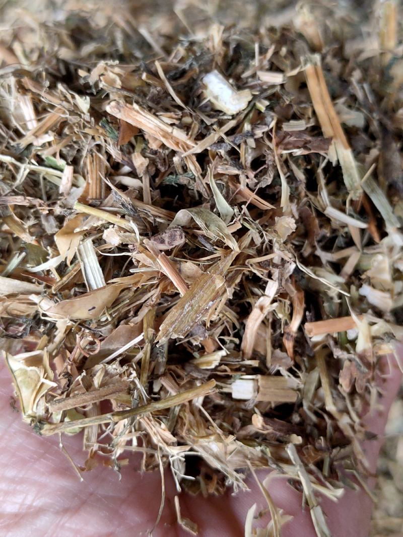 碗豆秧，牛羊好草料，无土无膜无霉变量大优惠