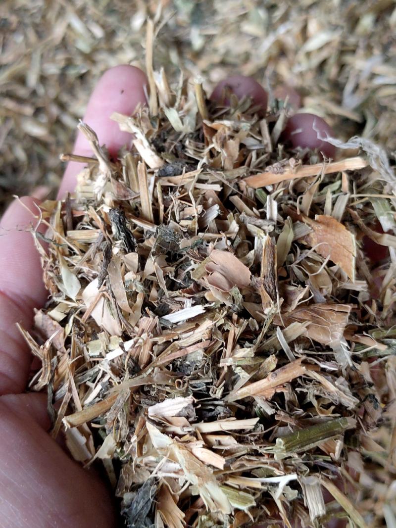 碗豆秧，牛羊好草料，无土无膜无霉变量大优惠