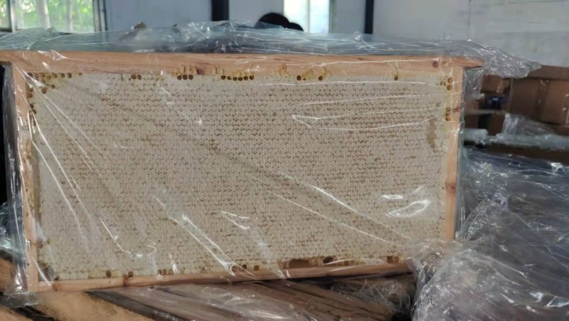 2021年新整张巢蜜，荆条蜜新脾，封盖好，重量足，
