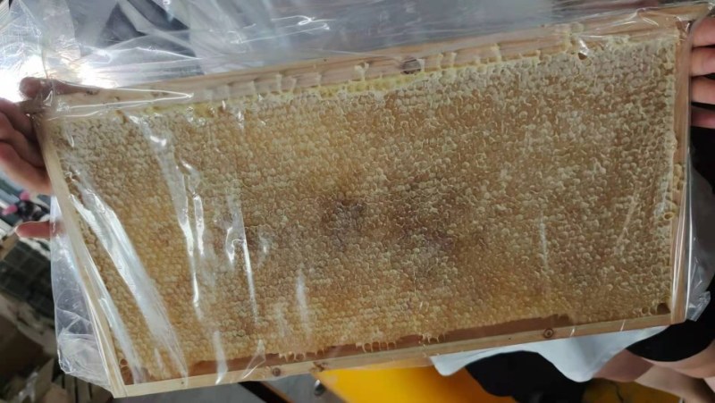 2021年新整张巢蜜，荆条蜜新脾，封盖好，重量足，