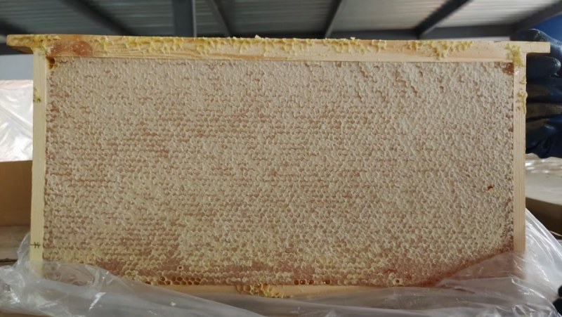 2021年新整张巢蜜，荆条蜜新脾，封盖好，重量足，