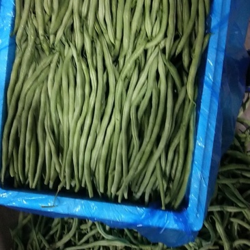 精品豆王