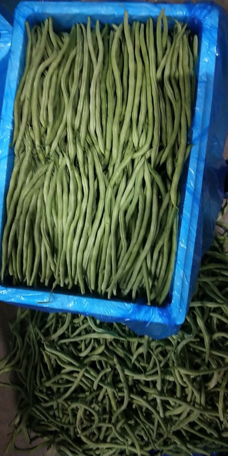 精品豆王