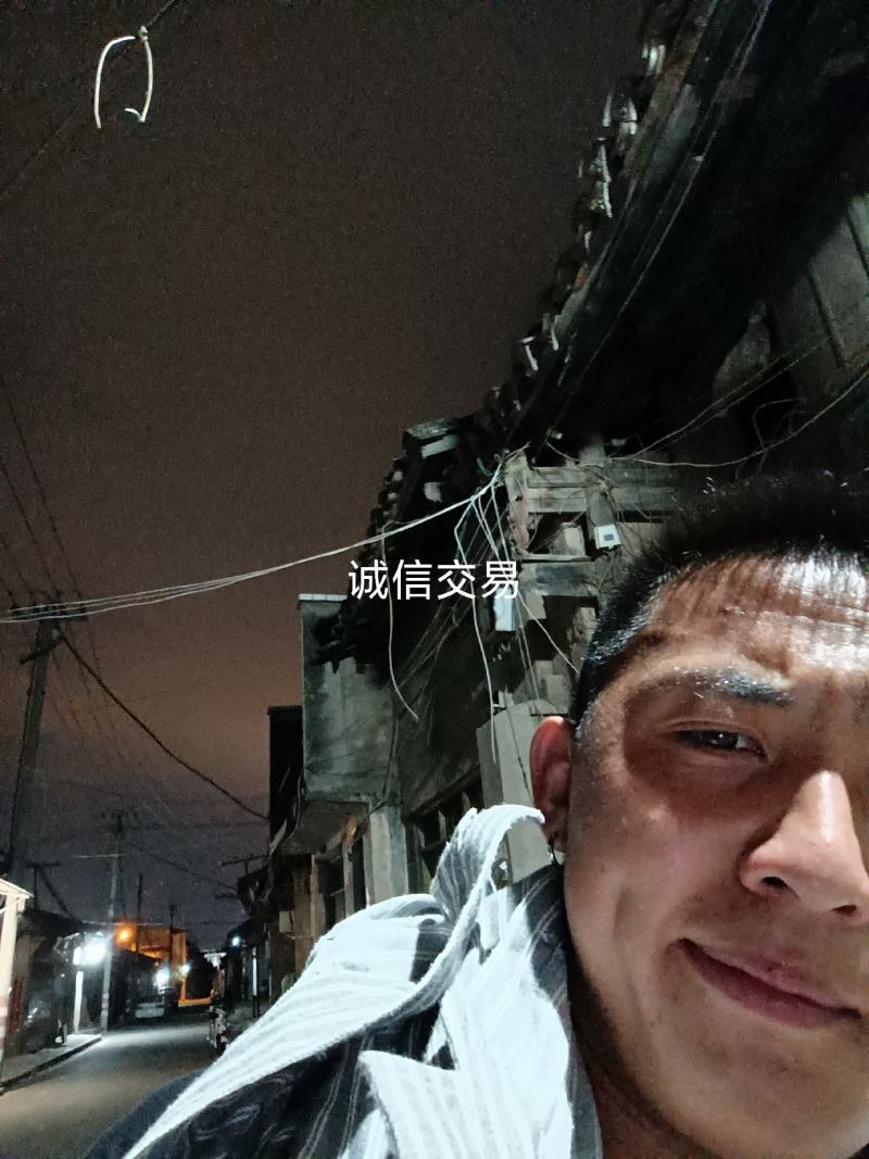 凉山州高山土豆老品种。青暑九号代收价格便宜质量好