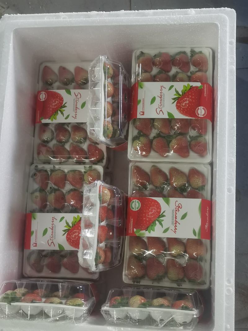 优质蒙特瑞商用草莓水晶盒礼品盒亮盒胶盒精品包装