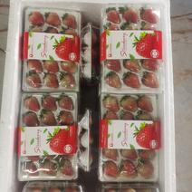 优质蒙特瑞商用草莓水晶盒礼品盒亮盒胶盒精品包装