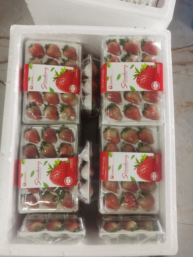 优质蒙特瑞商用草莓水晶盒礼品盒亮盒胶盒精品包装