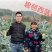 耐寒西蓝花种子西兰花种子低温不变色正宗蘑菇状打冷不变色