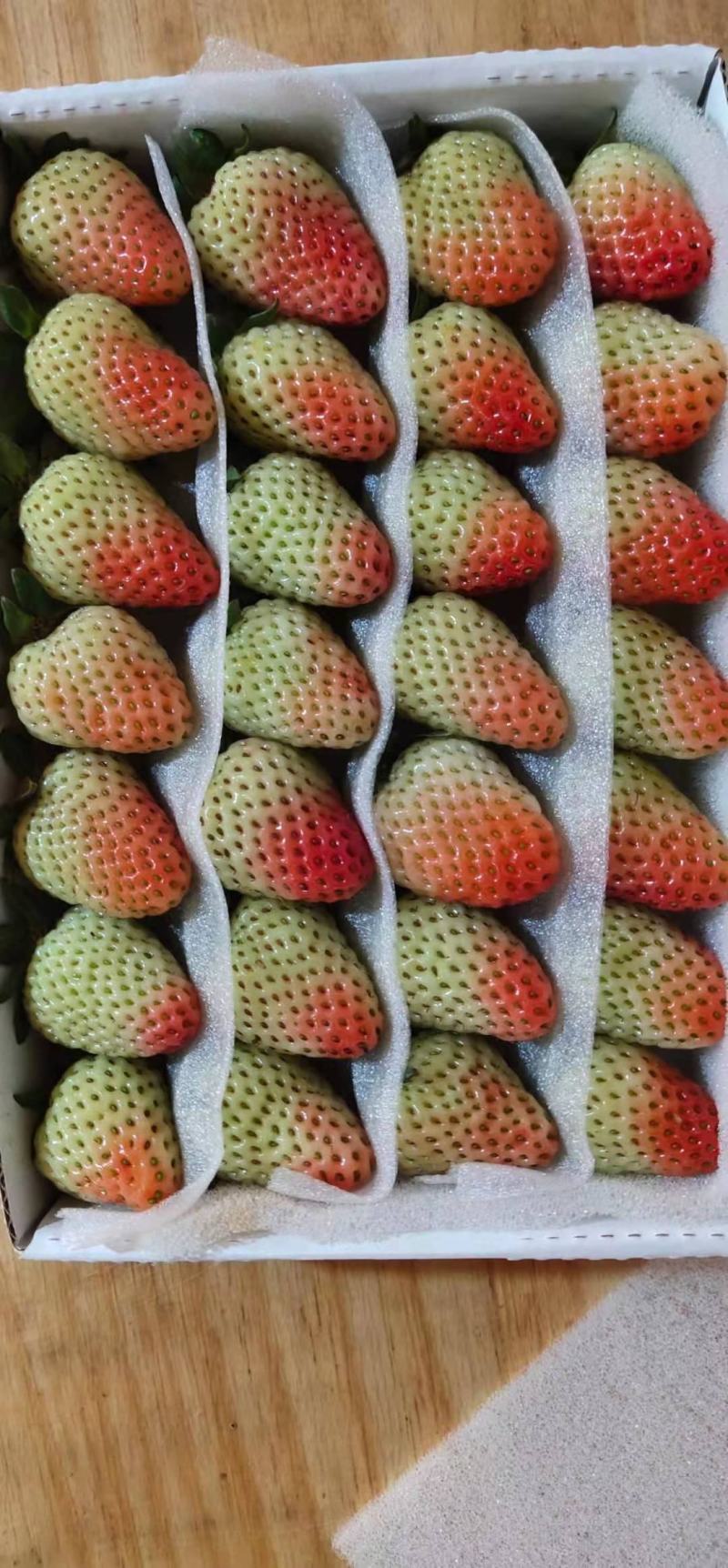 优质蒙特瑞新鲜草莓烘焙冷饮糖葫芦专用草莓