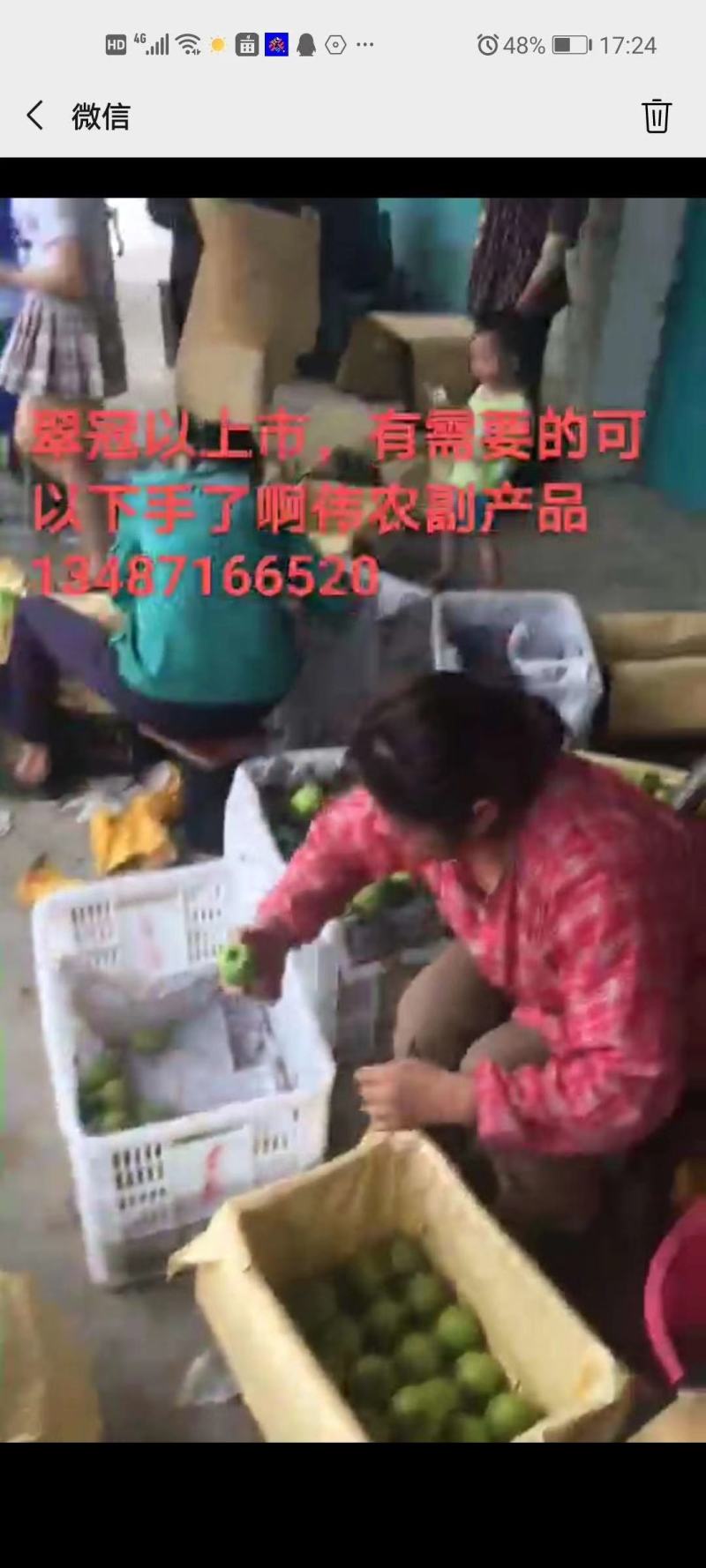 梨250~300g纸加膜