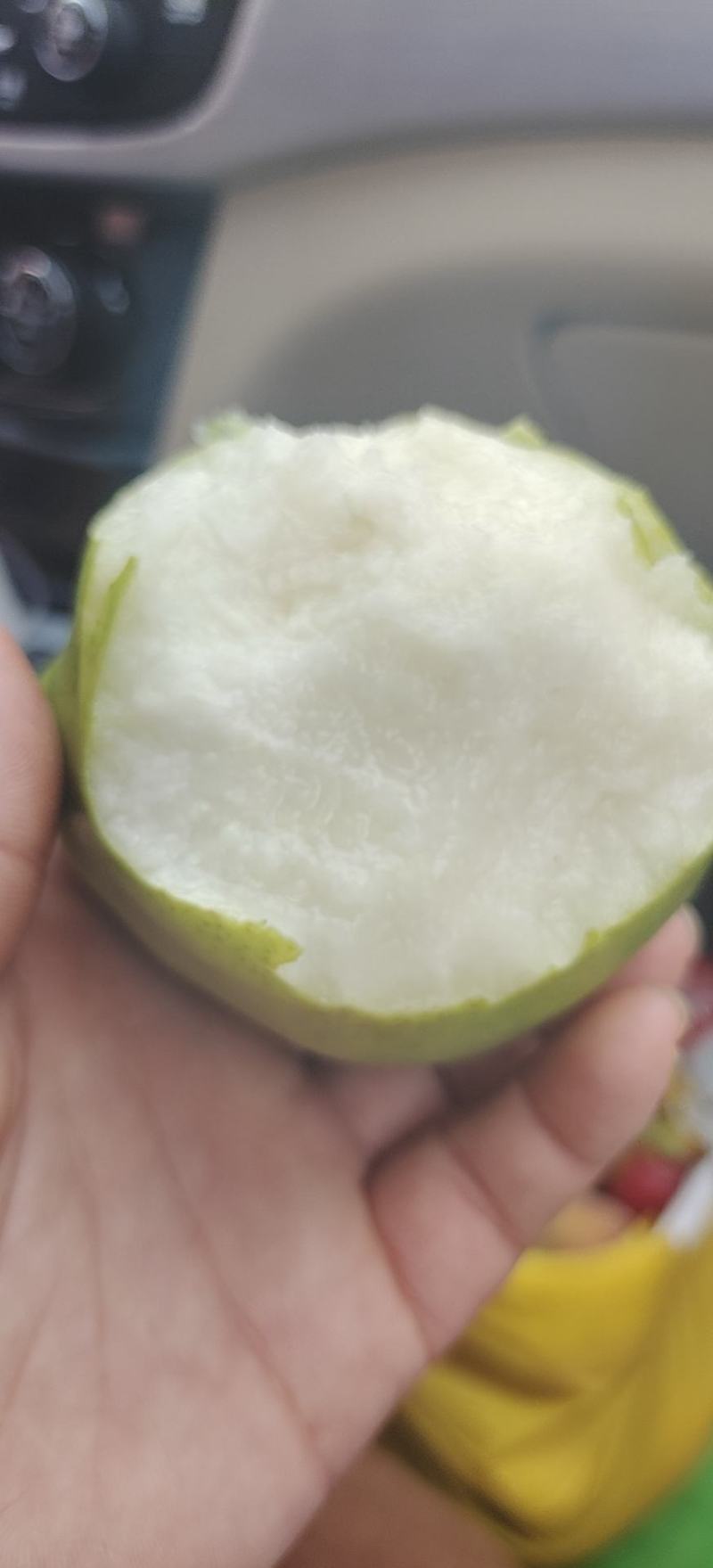 陕西早酥梨
