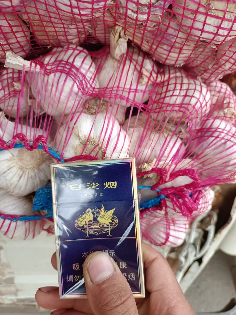 中牟县大蒜