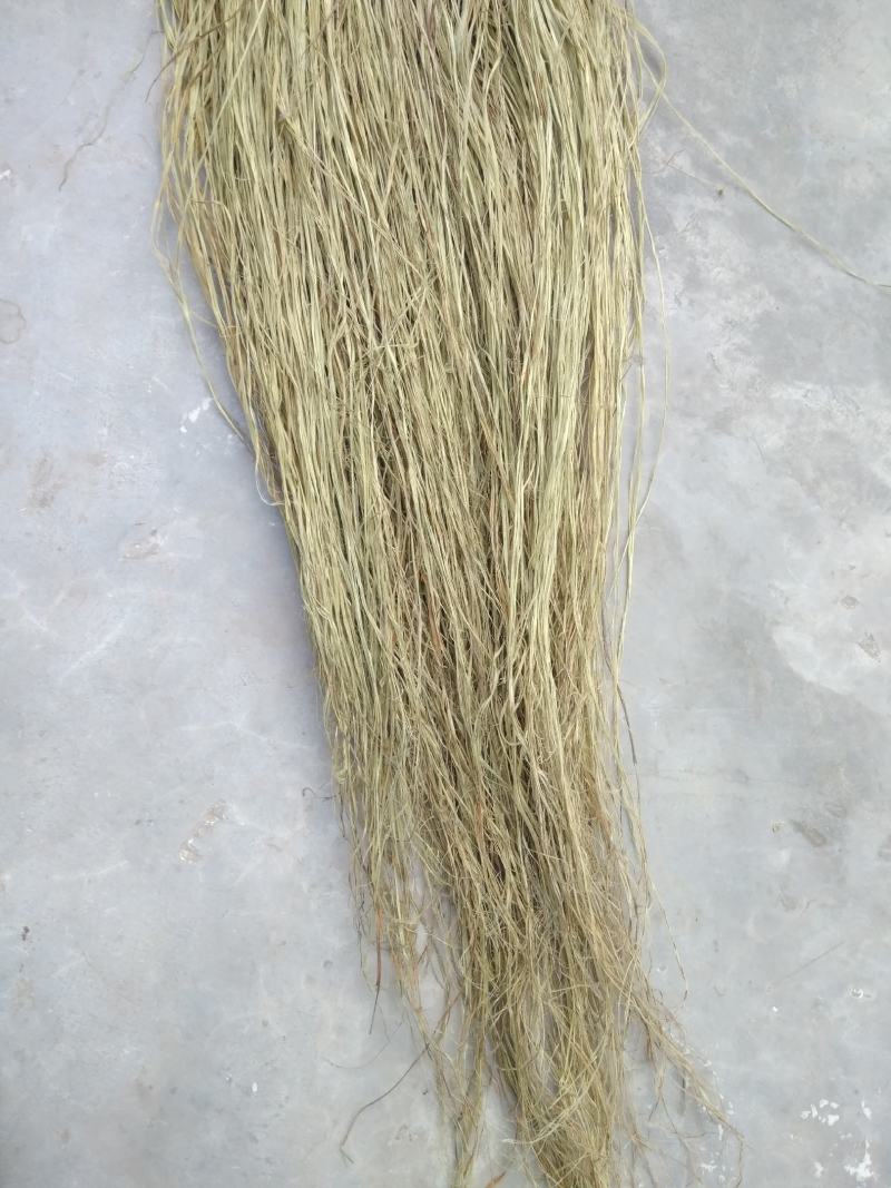 大竹苎麻，苎麻，手工麻，青麻