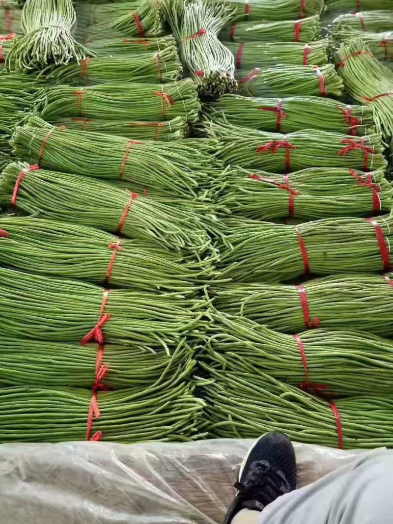 青条豆角长豆角长豇豆基地走市场加工干豆角腌制豆角切断烘干