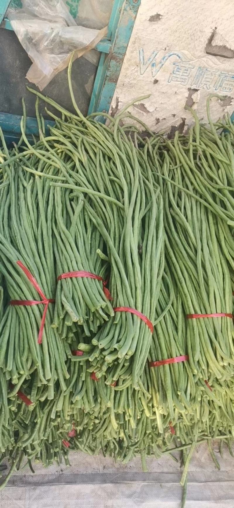 青条豆角长豆角长豇豆基地走市场加工干豆角腌制豆角切断烘干