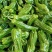 精品鲜辣椒芜湖椒，薄皮椒【新优】对接电商超市，商场！