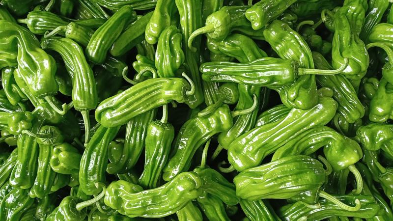 精品鲜辣椒芜湖椒，薄皮椒【新优】对接电商超市，商场！
