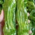 精品鲜辣椒芜湖椒，薄皮椒【新优】对接电商超市，商场！