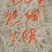 纸片笋，尾巴金丝，笋尖细丝，叶子