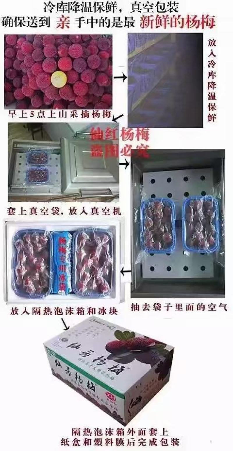 正宗仙居东魁杨梅，原产地直销，没有中间商环节。
