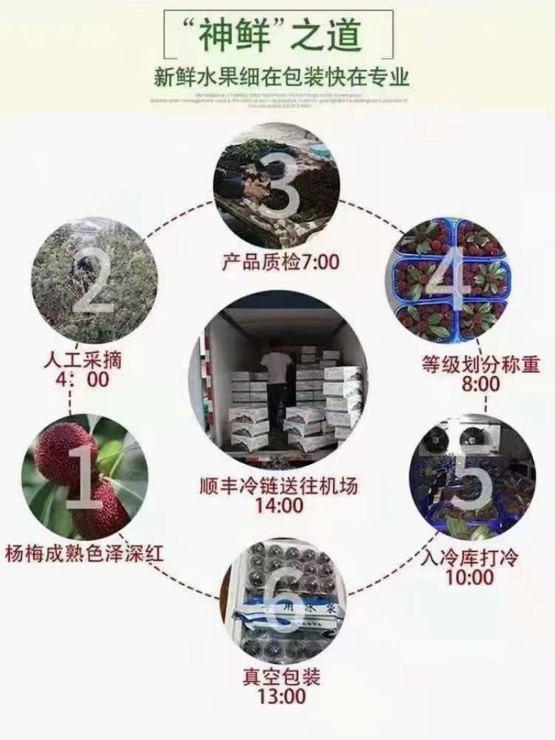 正宗仙居东魁杨梅，原产地直销，没有中间商环节。