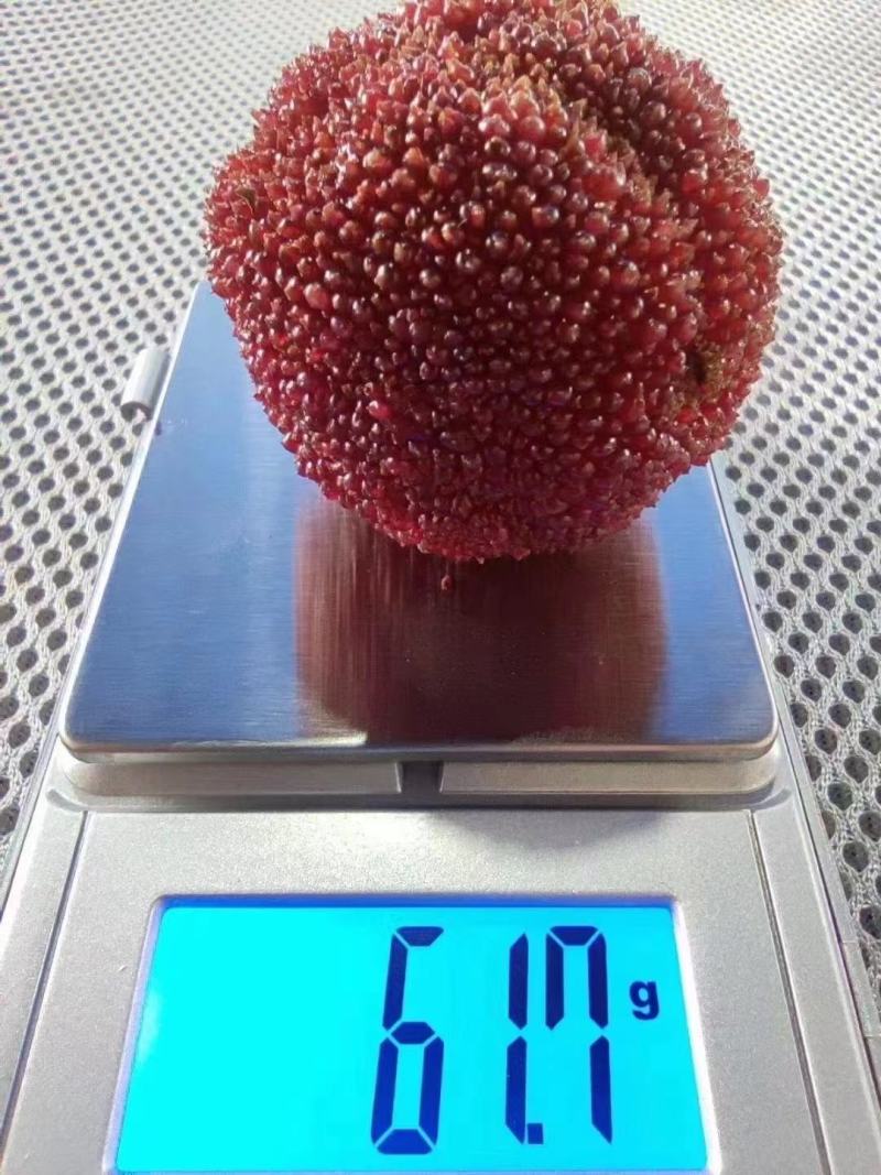 正宗仙居东魁杨梅，原产地直销，没有中间商环节。