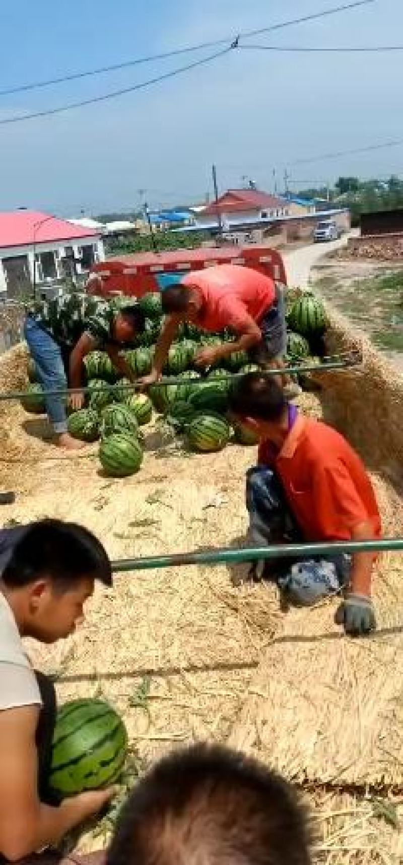 地雷瓜吉林西瓜产地现摘现发，市场档口商超稳定批发