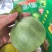 山东莘县燕店甜瓜产地大量上市。欢迎各位老板来采购