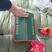 李子专用纸箱水果专用纸箱包装3斤5斤装配珍珠网棉包装