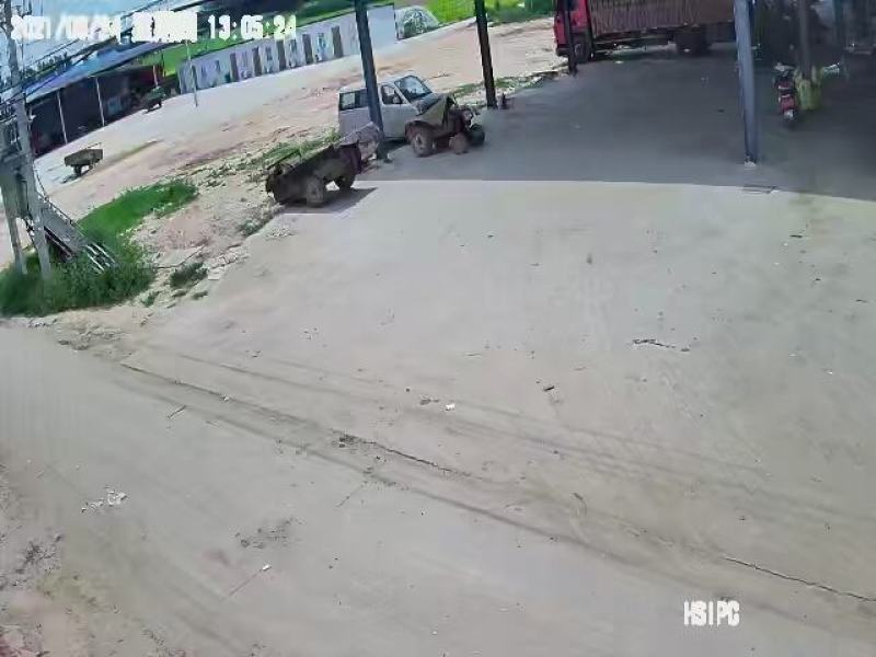 精品美都大量上市。河南扶沟。