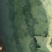 西瓜