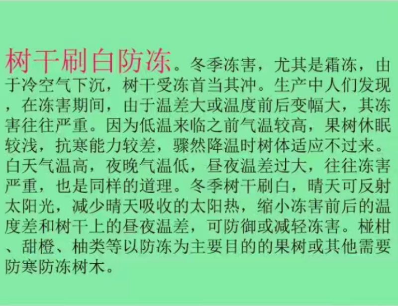 刷树粉果树刷白树木树干涂白剂涂白粉杀虫越冬树木涂白剂