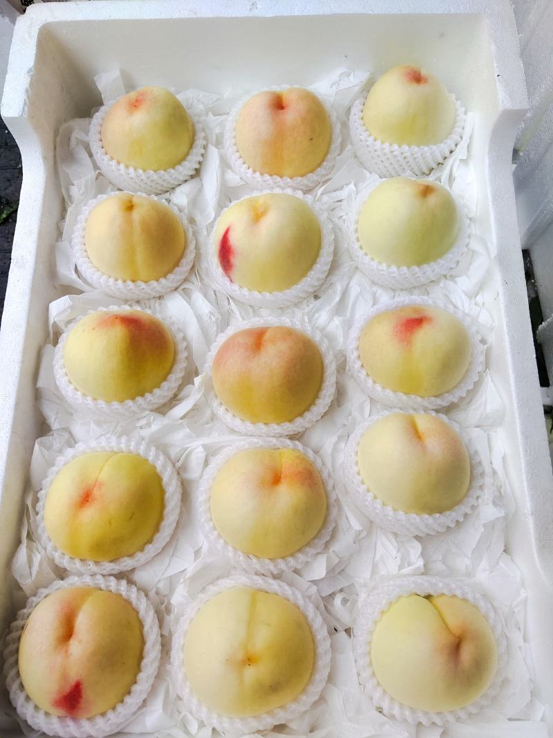 金安脆桃
