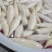 茭瓜，大量供应，大量有货