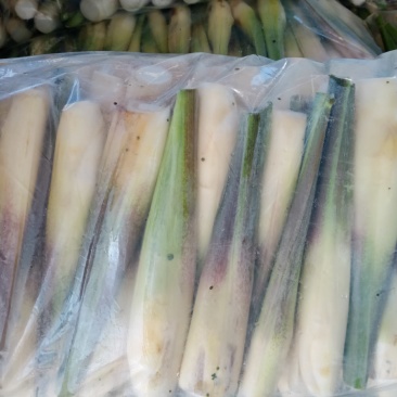 茭瓜，大量供应，大量有货