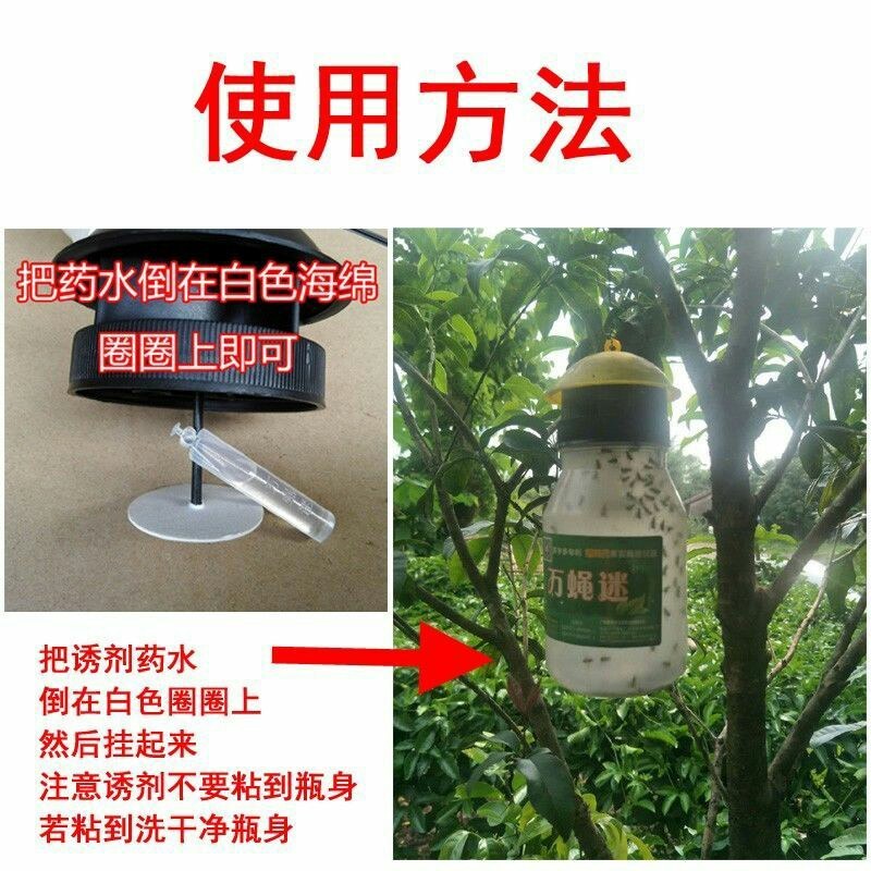 果蝇诱捕器果实蝇诱果蝇药水瓜果蔬菜防虫诱虫器药水