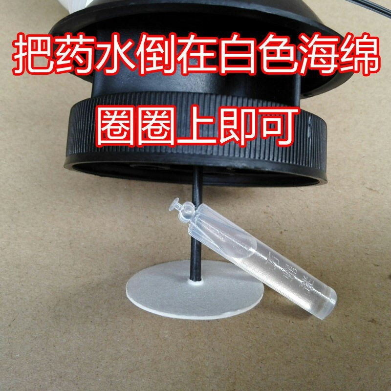 果蝇诱捕器果实蝇诱果蝇药水瓜果蔬菜防虫诱虫器药水