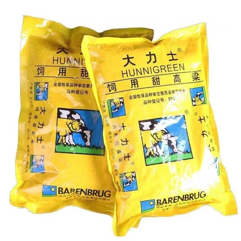 大力士甜高粱，大力士甜高粱牧草种子多年生一年四季畜牧草籽