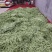 湖北长阳高山四季豆产地一手货源全国发货稳定诚信合作欢迎致电
