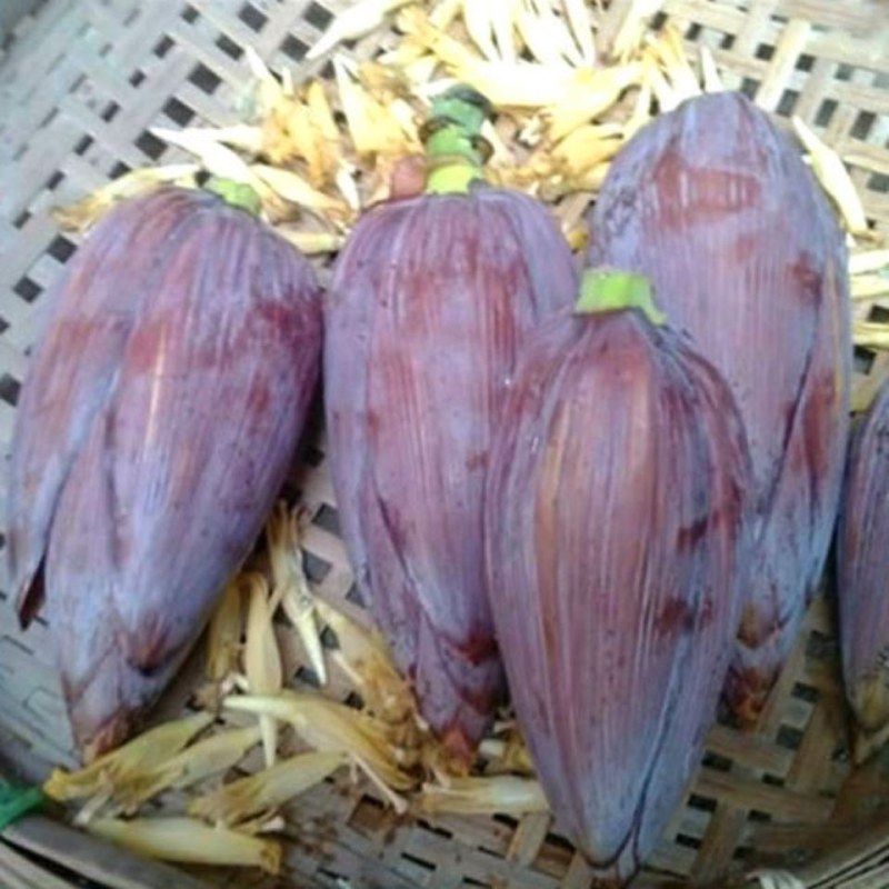 新鲜芭蕉花新鲜芭蕉花蕾绿色蔬菜野生野菜包邮