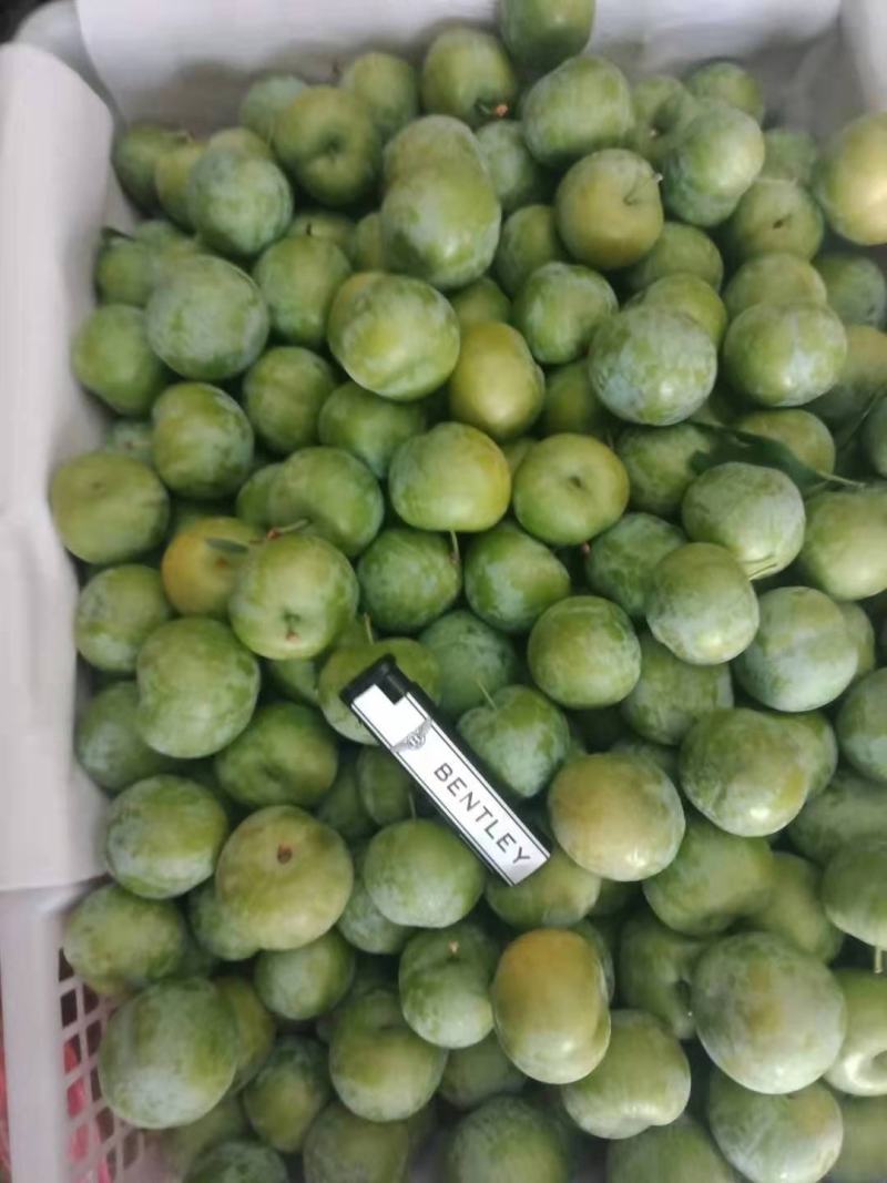 河南南阳脱骨清脆李大量上市口感脆货源充足市场电商介可发货