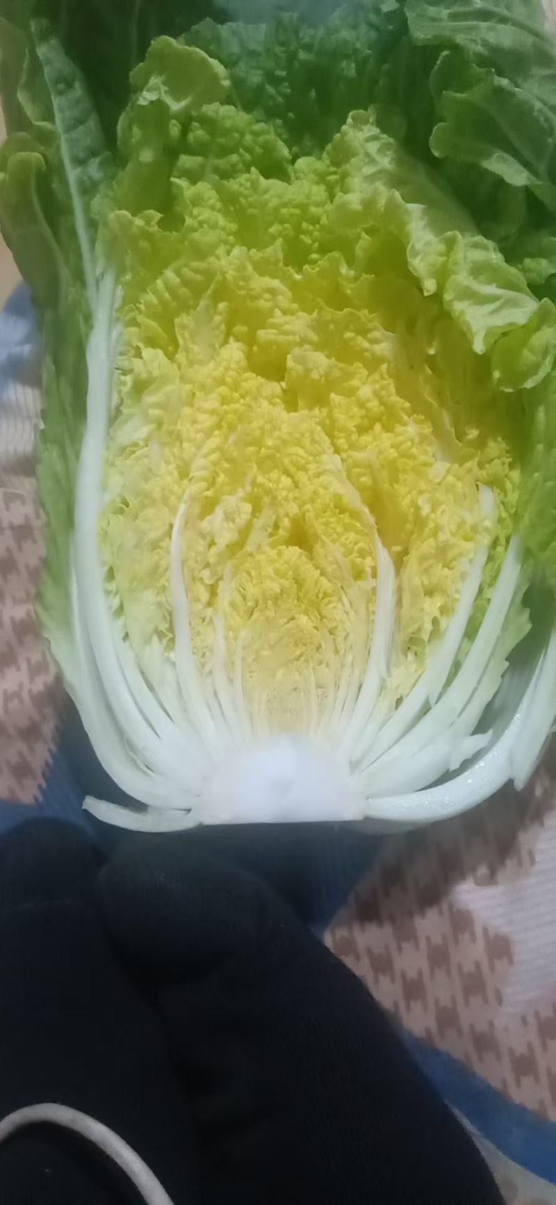 大量出售黄心大白菜，各种细菜，月底大量出