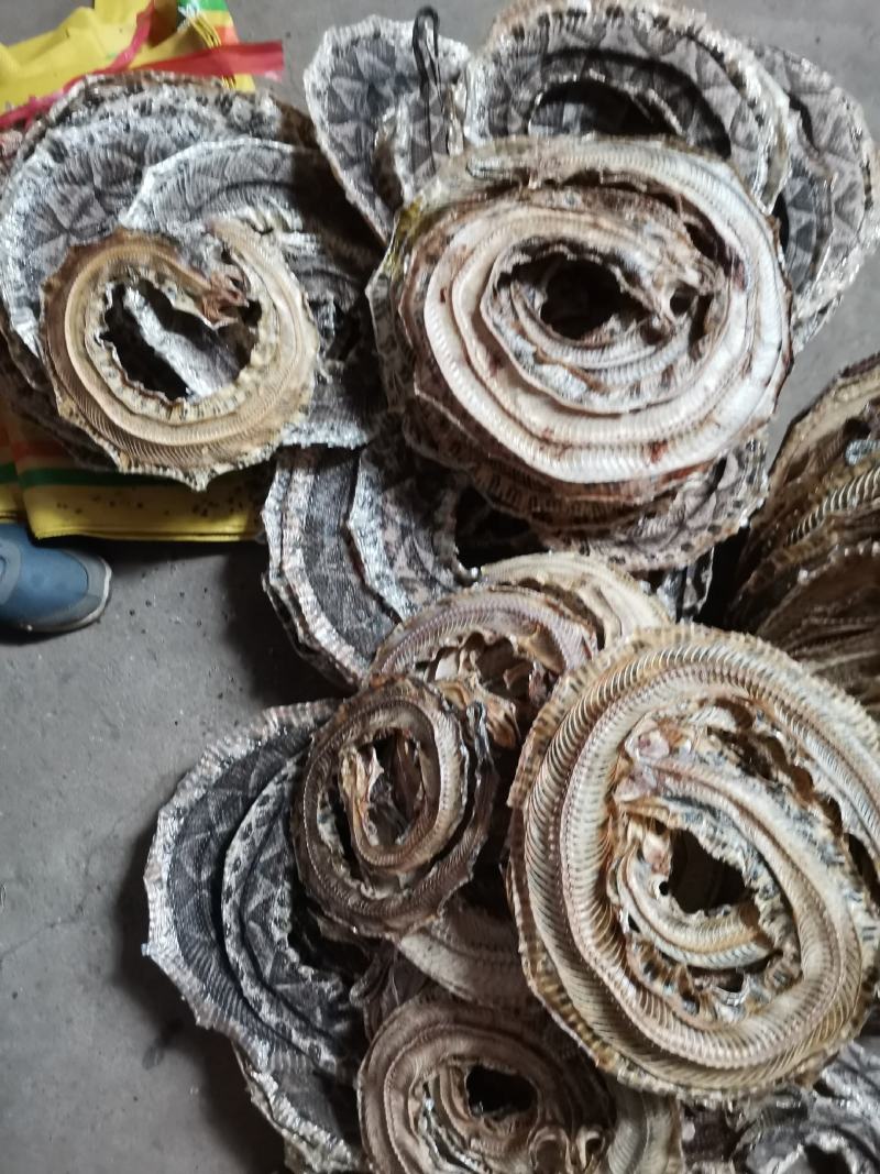 正品药用蕲蛇干全排血，纯清水货，当面交易